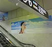 シート広告